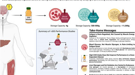 Metabolic Health vs The Aerobic Glycolytic System