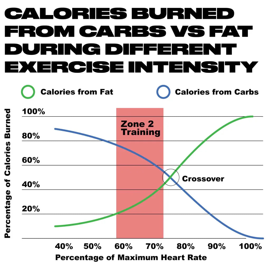 Fuel usage in Zone2 training