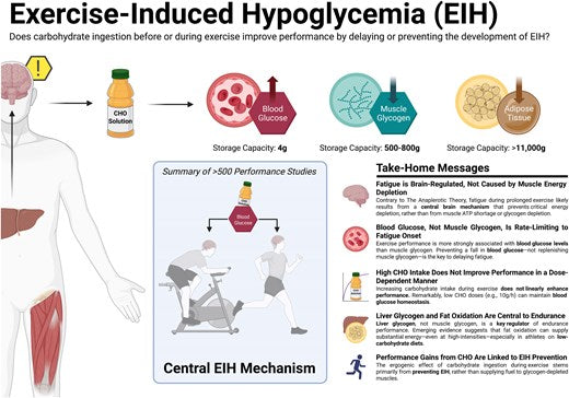 Metabolic Health vs The Aerobic Glycolytic System